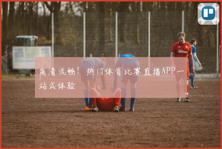 高清流畅！热门体育比赛直播APP一站式体验